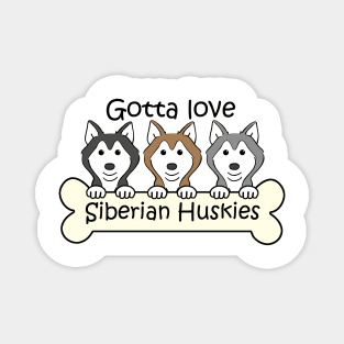 Gotta Love Huskies Magnet