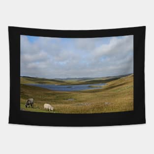 Shetland moorland Tapestry