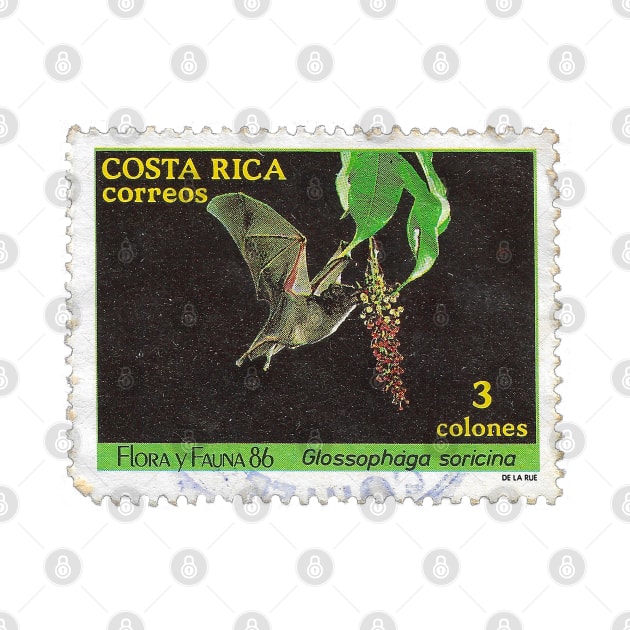 Vintage 1986 Costa Rica Flora y Fauna Stamp by yousufi