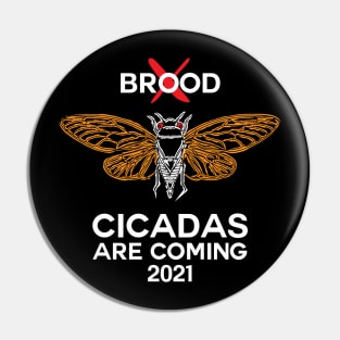 Brood X Cicadas are coming 2021 Pin