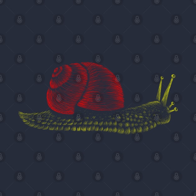 Snail Hand drawn Illustration by Mako Design 