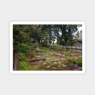 Peaceful Garden Plantation Setting with Plants and Vegetables Magnet