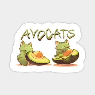 Avocats, avocado cats Magnet