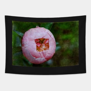 Peony Macro Tapestry