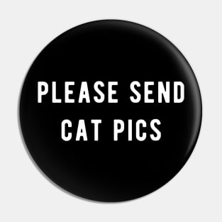 please send cat pics Pin