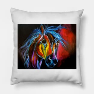 Colorful Roan Pillow