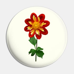 Red and Yellow Single Dahlia Pin