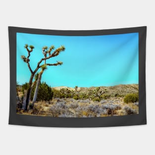 Joshua Tree National Park, California Tapestry