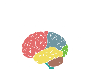 Paramedics Brain Funny EMS EMT Paramedic Thin White Line Magnet