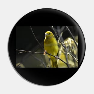 Yellow Bird Pin