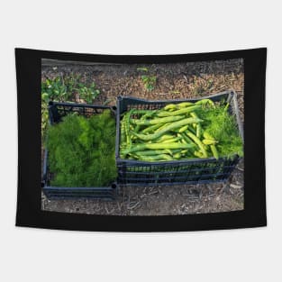 Fennel and Fava Tapestry