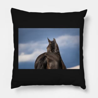 Dreamy horse image Pillow