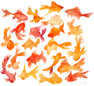 Goldfish Magnet