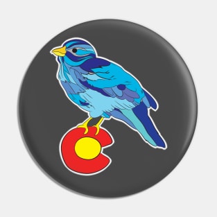 Colorado bluebird sky Pin