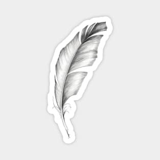 White feather Magnet