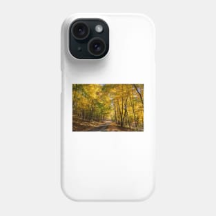 North Shore Drive in Moraine State Park of Pennsylvania Phone Case