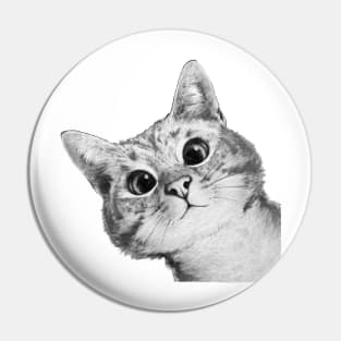 Sneaky Cat Pin