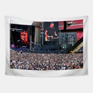Bruce Springsteen Live At Wembley Stadium Tapestry