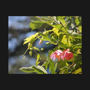 Pink Flowers at Pt Lobos T-Shirt