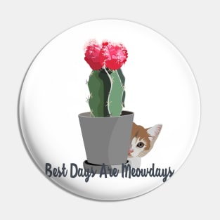 Best Days Are Meowdays Pin