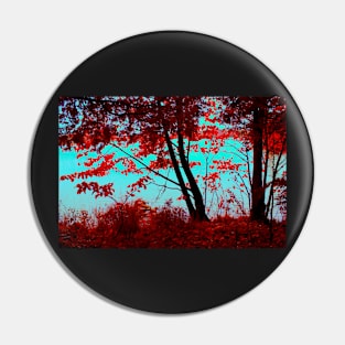 The Fall View Pin