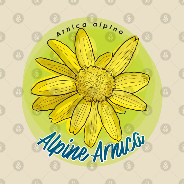 Alpine Arnica by unclelindsey