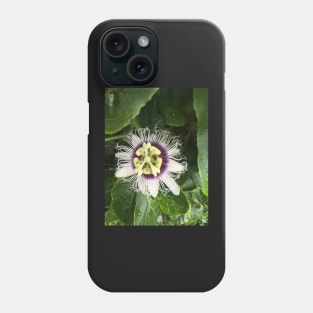 Passion Fruition Phone Case