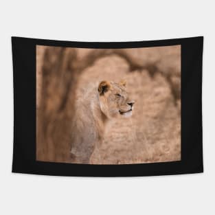 Serengeti Lion #3 Tapestry