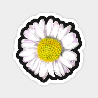 White daisy Bellis perennis wildflower close up Magnet