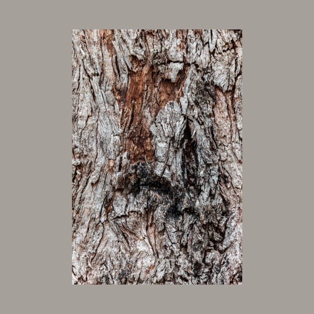 Rustic Orange & Brown Tree Trunk by textural