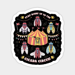 Cicadas Circus Festival, Cicada Lifecycle, Festival Magnet