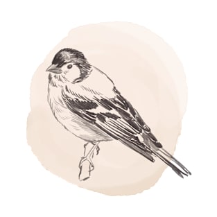 Hand drawn illustration of chaffinch bird T-Shirt