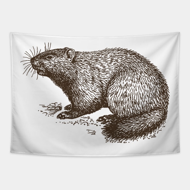 Vintage Groundhog Tapestry by valentinahramov