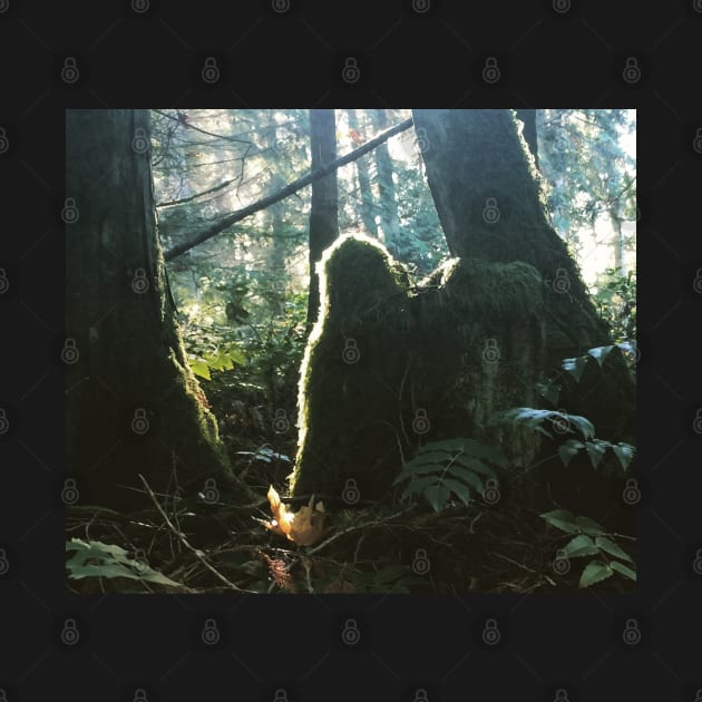 Green Man of Gabriola Spying on me… by drumweaver