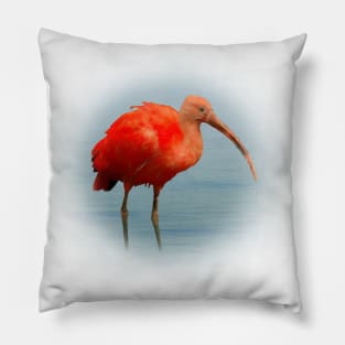 Scarlet ibis Pillow