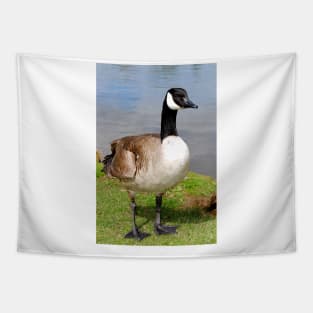 Canada Goose Canadian Geese Wild Bird Tapestry