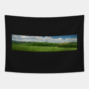 Panorama of green Tuscan fields in late summer Tapestry