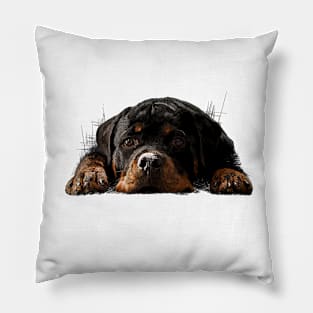 Rottweiler Welpe Pillow