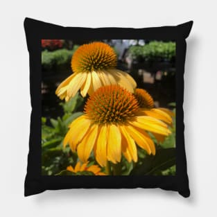 Summer Yellow Echinacea Blossom Rising Pillow