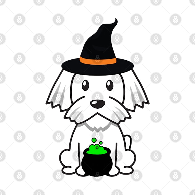 Cute white dog is a witch by Pet Station