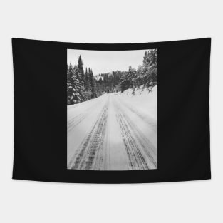 White Winter in Scandinavia - Mountain Road Through Fir Tree Forest Tapestry