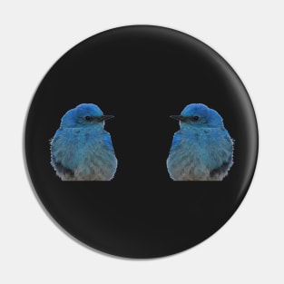 Twin Bluebirds Pin