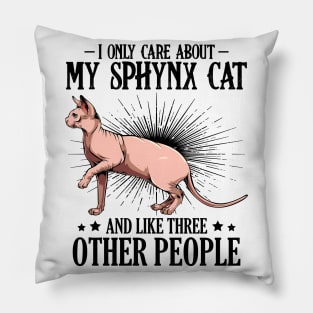 Sphynx Cat Pillow