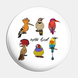 Exotic Bird Hand Drawn Pin