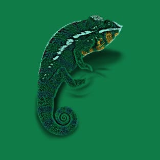 Color Matching Chameleon Clinger T-Shirt