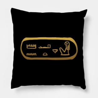 Nurse in Ancient Egyptian Hieroglyphics. Pillow