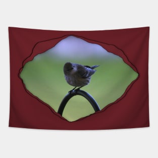 Warbler Perched Popping from Torn Material Tapestry