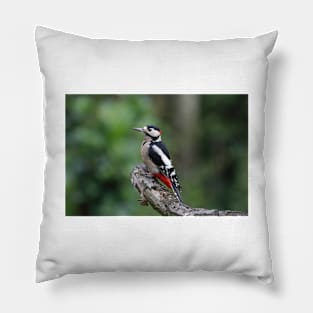 Great spotted woodpecker Pillow