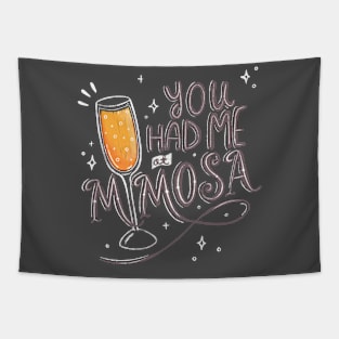 You Had Me at Mimosa Tapestry