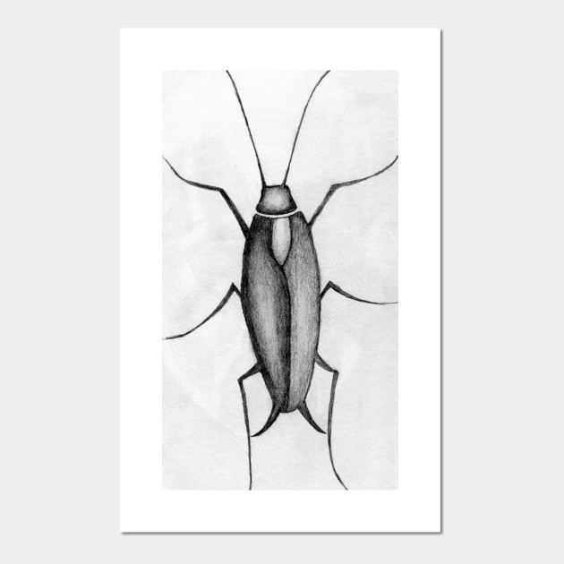 Cockroach Pencil Drawing Posters And Art Prints Teepublic Uk